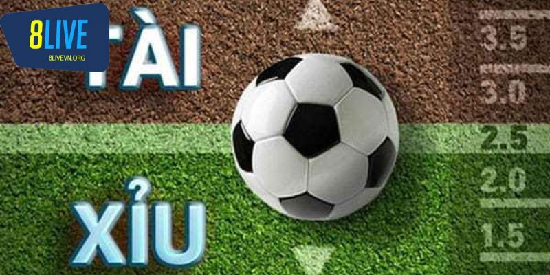 Hướng dẫn cách tính tỷ lệ cá cược tài xỉu cho hội viên