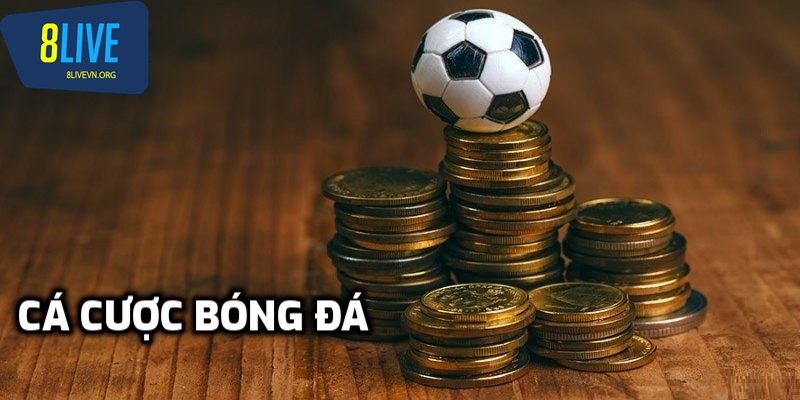 Hiểu thế nào về cá độ bóng đá tại 8live