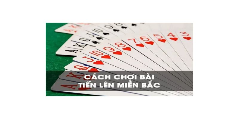Tổng hợp luật chơi chơi tiến lên miền bắc nên biết