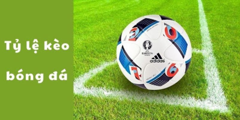 Tỷ lệ cá cược bóng đá là gì?