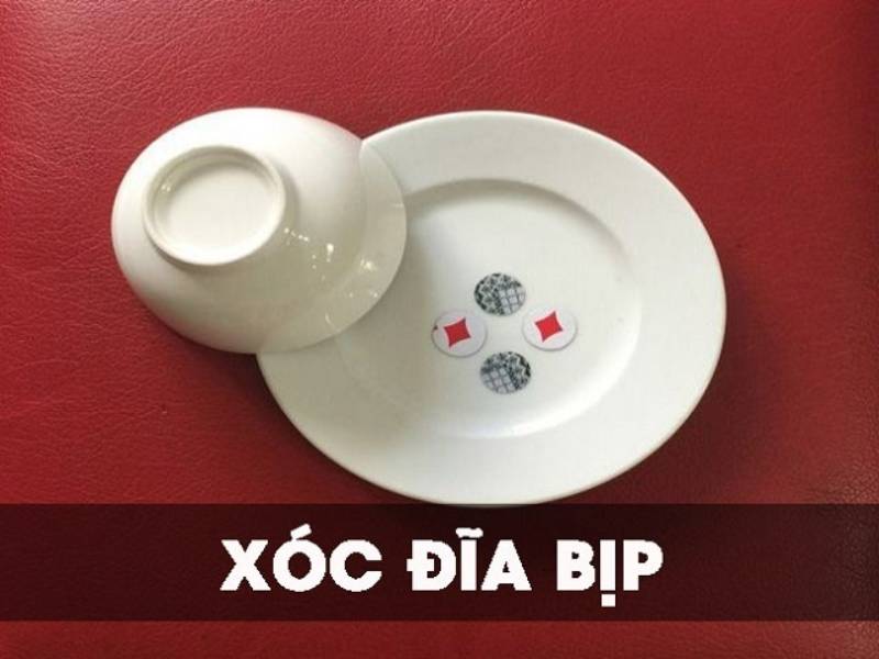 Hãy kiểm tra kỹ dụng cụ chơi xóc đĩa